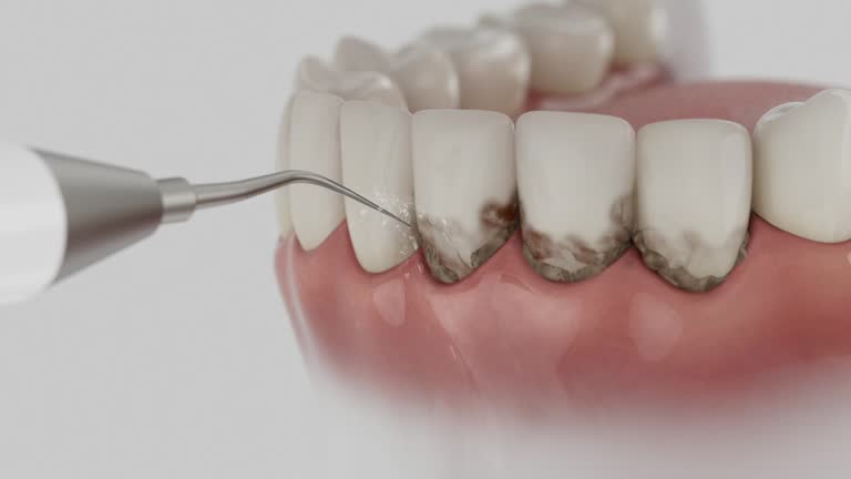 Reliable Dental contractor in Montpelier, ID by Dentist Open Now